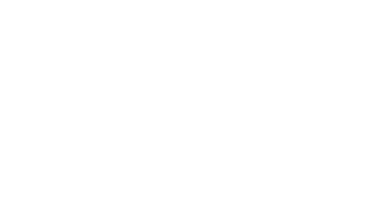 vedhidesigns